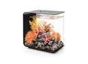 Vorschaubild BiOrb Aquarium FLOW 15 MCR