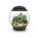 Vorschaubild BiOrb Terrarium AIR 30