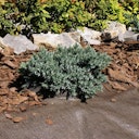 Vorschaubild Noor Unkrautblocker braun 105 gr/m² 0,90 x 10 m