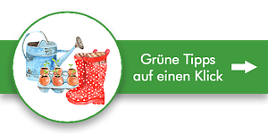 Tipps fÃÂür einen schÃÂönen Rasen Tipps fÃÂür einen schÃÂönen Rasen