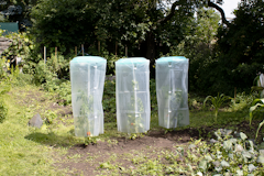 KHW Tomatenhut 3er SetZubehörbild