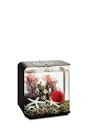 Vorschaubild biOrb Decor Set 15L Red Forest (48442)