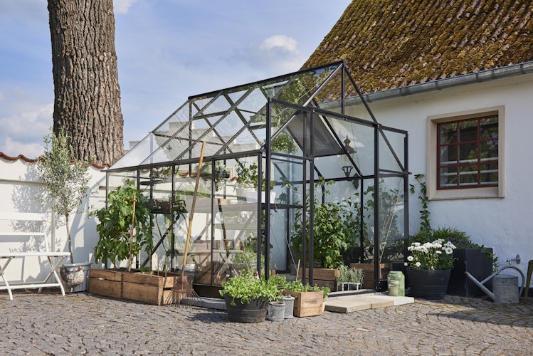 Halls Gewächshaus Qube + 6,6 m² / 9,9 m² / 13 m²