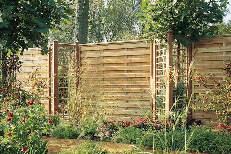 TraumGarten Clematis Rankgitter 89x178 cm