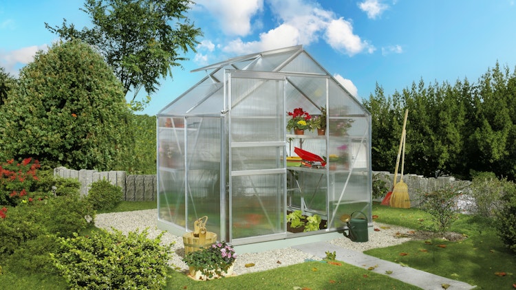 Vitavia Gewächshaus Calypso 3000 inkl. 1 Dachfenster - 3,0 m²