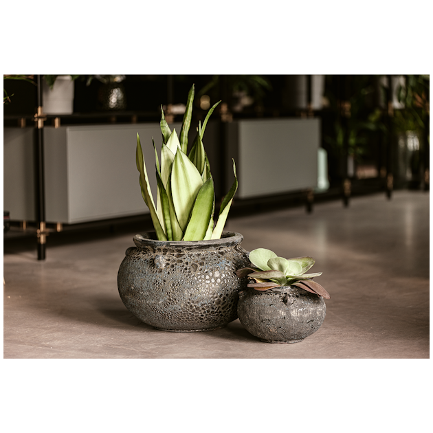 Vosteen Design Blumentopf / Pflanzgef Terrakotta schwarz  40 cm x H 27 cm