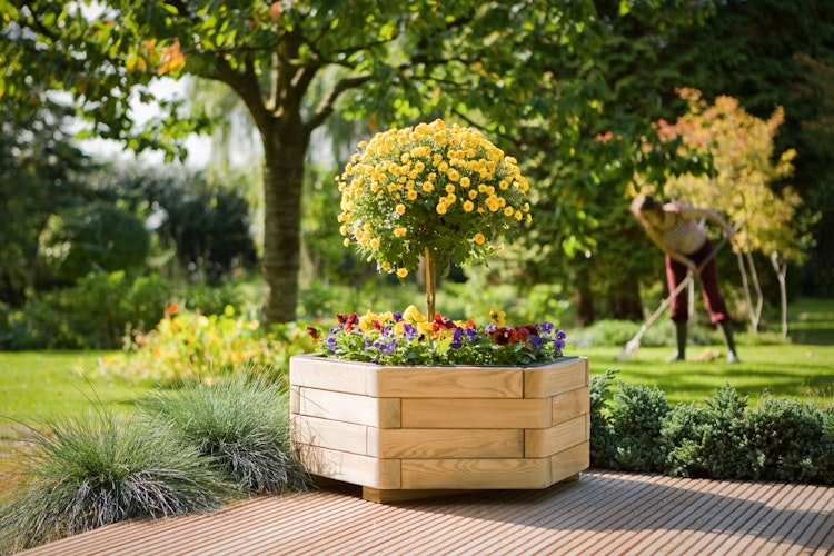 TraumGarten Einsatz für Pflanzkasten ANNA Ø 75 cm