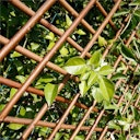 Vorschaubild Noor Rankgitter Weide 1x2 m