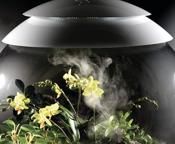 BiOrb Terrarium AIR 60