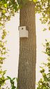 Vorschaubild Alberts® U-Schutzdach für Futterhaus