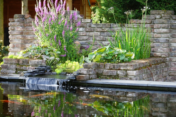 Ubbink Teichschale Fertigteich Jupiter H1 - 875 l