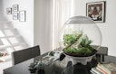 Vorschaubild BiOrb Terrarium AIR 60