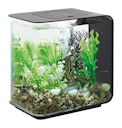 Vorschaubild BiOrb Aquarium FLOW 15 MCR