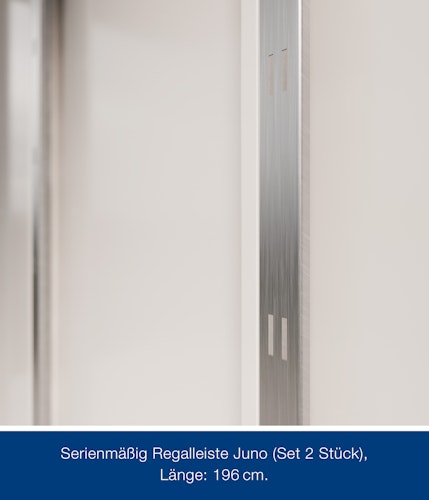 Hörmann Metall-Gerätehaus Juno JPD mit Pultdach