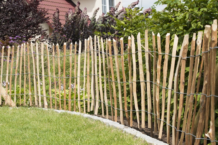 BM Rollzaun Haselnuss unbehandelt -Verschiedene Höhen-