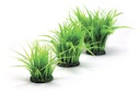 Vorschaubild biOrb Grasring klein grün (46103)