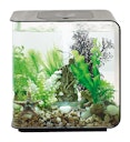 Vorschaubild BiOrb Aquarium FLOW 15 LED