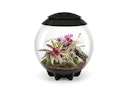 Vorschaubild BiOrb Terrarium AIR 60