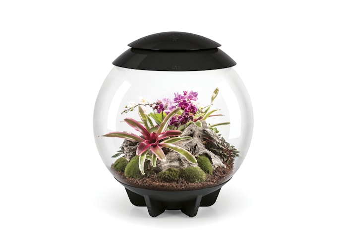BiOrb Terrarium AIR 60