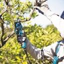 Vorschaubild Makita Akku-Astschere DUP361Z