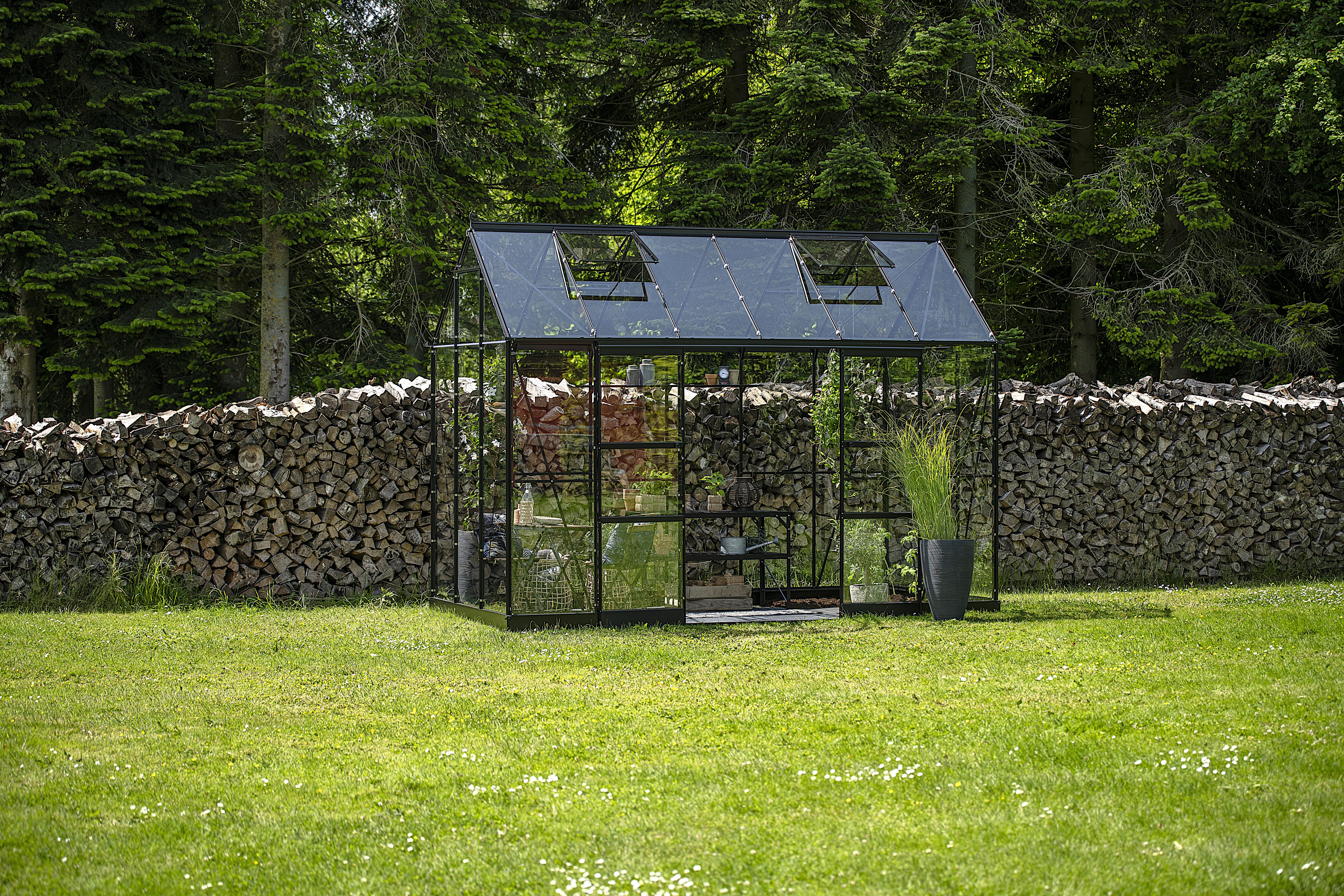 Halls Gewächshaus Icon Pflanzenhaus 6/8 - 7,3 m² / 9,7 m² inkl. gratis Fundament/Fallrohr/Starterset