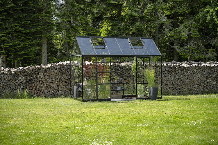 Halls Gewächshaus Icon Pflanzenhaus 6/8 - 7,3 m² / 9,7 m²