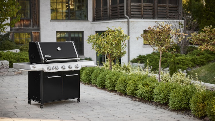 Weber Gasgrill SUMMIT FS38 E
