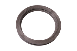 Oase Dichtung 100 für Biotec 30 / 36 (34285)