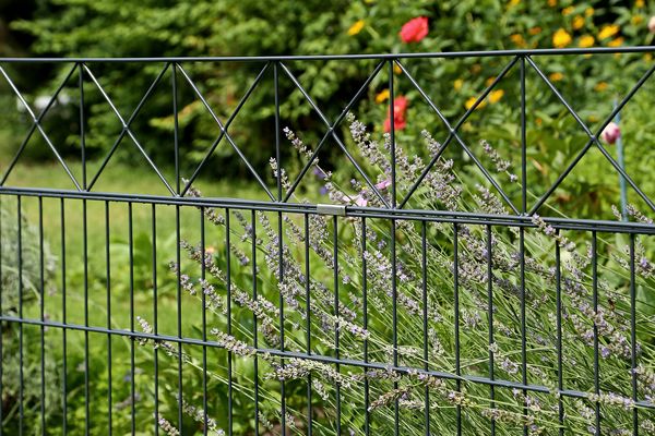 Alberts® Doppelstabmatten 6/5/6 mit Dekor Nexus Komplettset 2-20 Meter