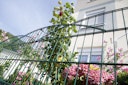 Vorschaubild dz Schmuckzaunmatte Residenz standard INNSBRUCK