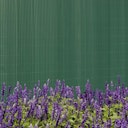 Vorschaubild Noor Sichtschutzmatte PVC in verschiedenen Farben und Größen