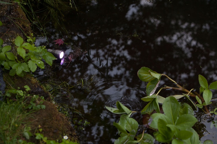 Heissner SMART LIGHT Spot, 3W, RGB, Metall (L433-00)