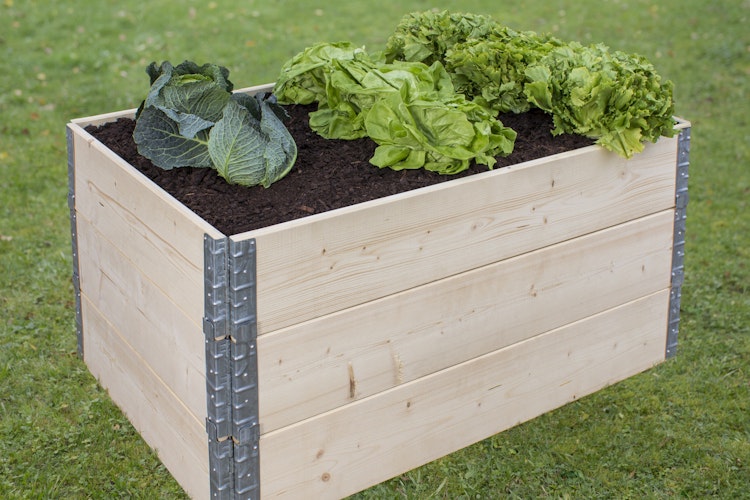 BM Hochbeetstecksystem, 120 x 80 x 20cm, Fichte natur