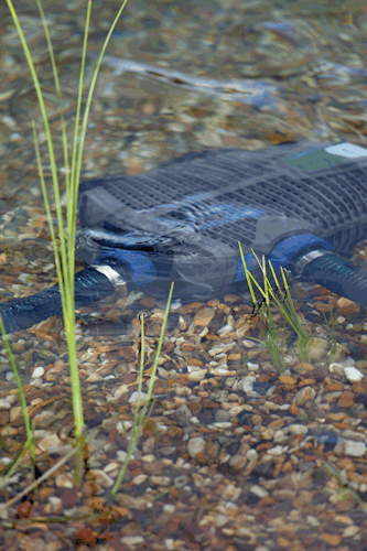 Oase Schwimmteichpumpe AquaMax Eco Premium 12000 / 12 Volt