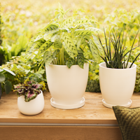 Wikholm form Design Pflanzgefäß / Blumentopf cremeweiß ⌀ 31 x H 30 cm