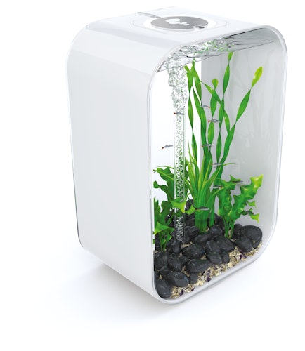 BiOrb Aquarium LIFE 45 MCR