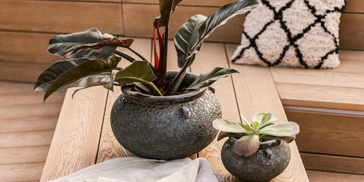 Vosteen Design Blumentopf / Pflanzgefäß Terrakotta schwarz ø 23 cm x H 16 cm