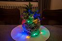 Vorschaubild Konstsmide Weihnachtsbeleuchtung  Micro LED Lichterkette 10 bunte Dioden