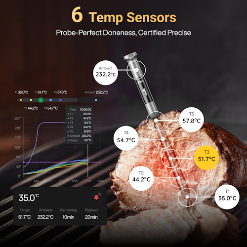 Typhur Grillthermometer SYNC Gold Lite - 1 Thermometer