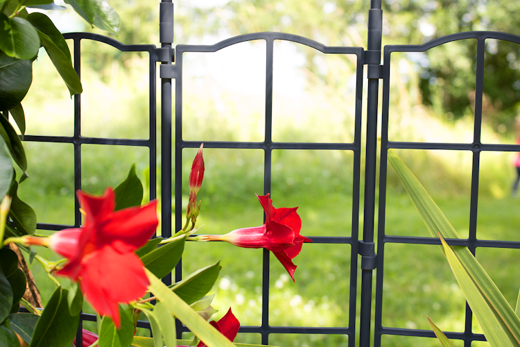 KHW Modulares Spalier als Nachrüstsatz für Calypso Pflanzkasten