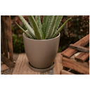 Vorschaubild Wikholm form Design Untersetzer Terrakotta grün 3er Set ⌀ 19/23/28,5 cm