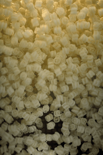 Oase ProfiClear Premium Moving Bed Modul L