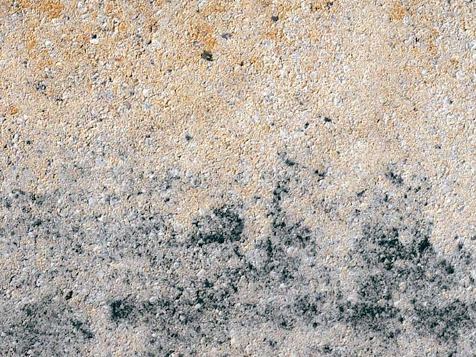 Diephaus Mauerstein TOSA MUSCHELKALK 50/40/20 CM (1/5 + 4/5)