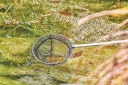Vorschaubild Oase Fischkescher klein