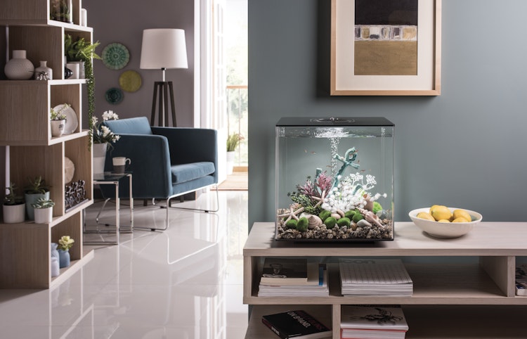 BiOrb Aquarium CUBE 60 MCR