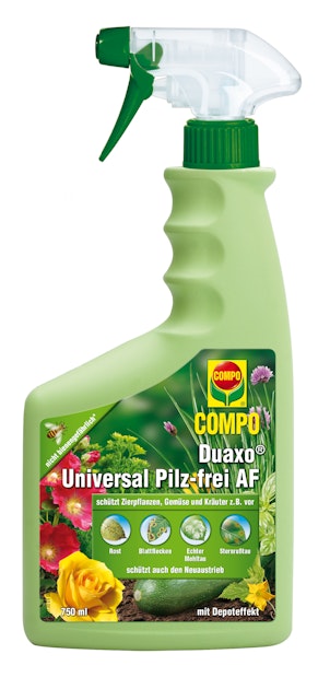 blumenrasen saatgut kaufen Blumen-Kräuter-Klimarasen (100g) main image 1