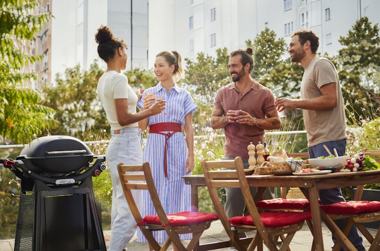 Weber Q2800N+ Gasgrill mit Rollwagen - Black