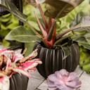 Vorschaubild Wikholm form Design Pflanzgefäß / Blumentopf Keramik schwarz ⌀ 18 x H 22 cm