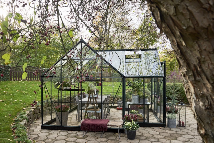 Halls Gewächshaus Garden Room SET inklusive Fundamantrahmen- 12,9 m²