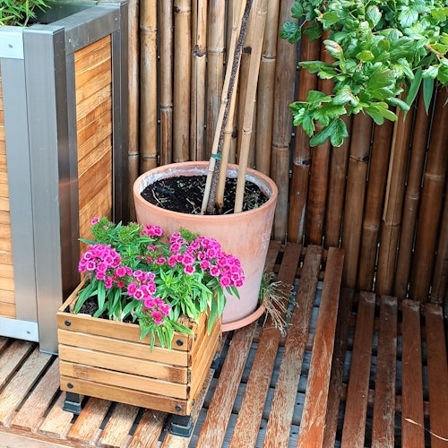 BambusBASIS Pflanzkübel quadratisch 